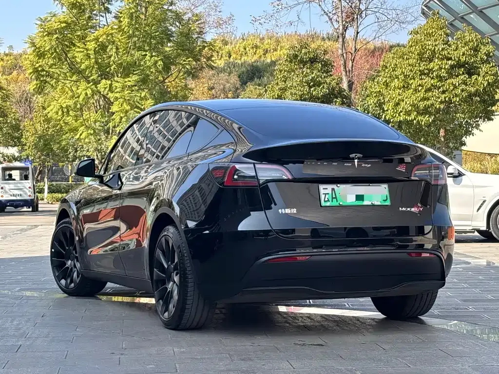 Tesla Model Y 2023 из CN, фото 4