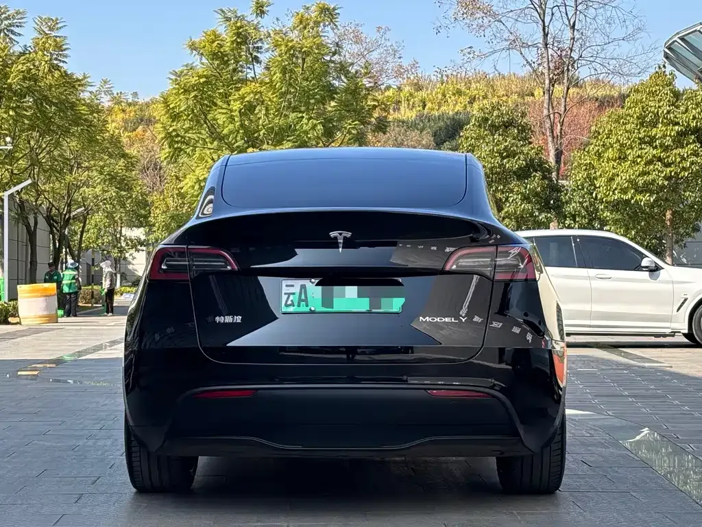 Tesla Model Y 2023 из CN, фото 2