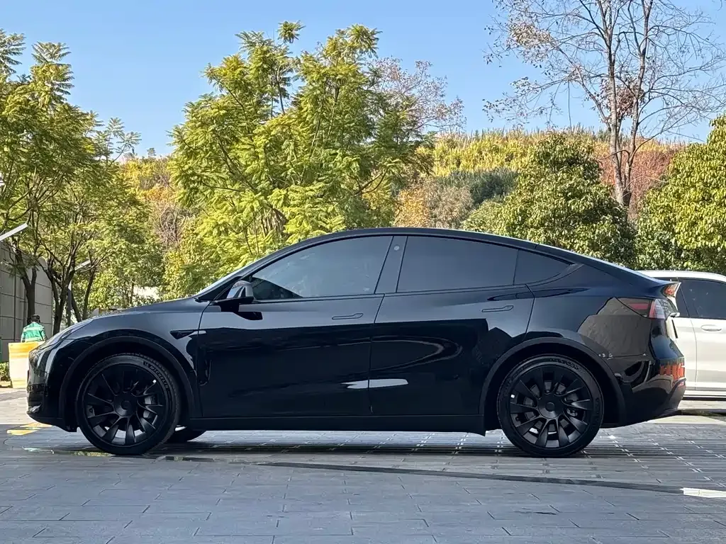 Tesla Model Y 2023 из CN, фото 6