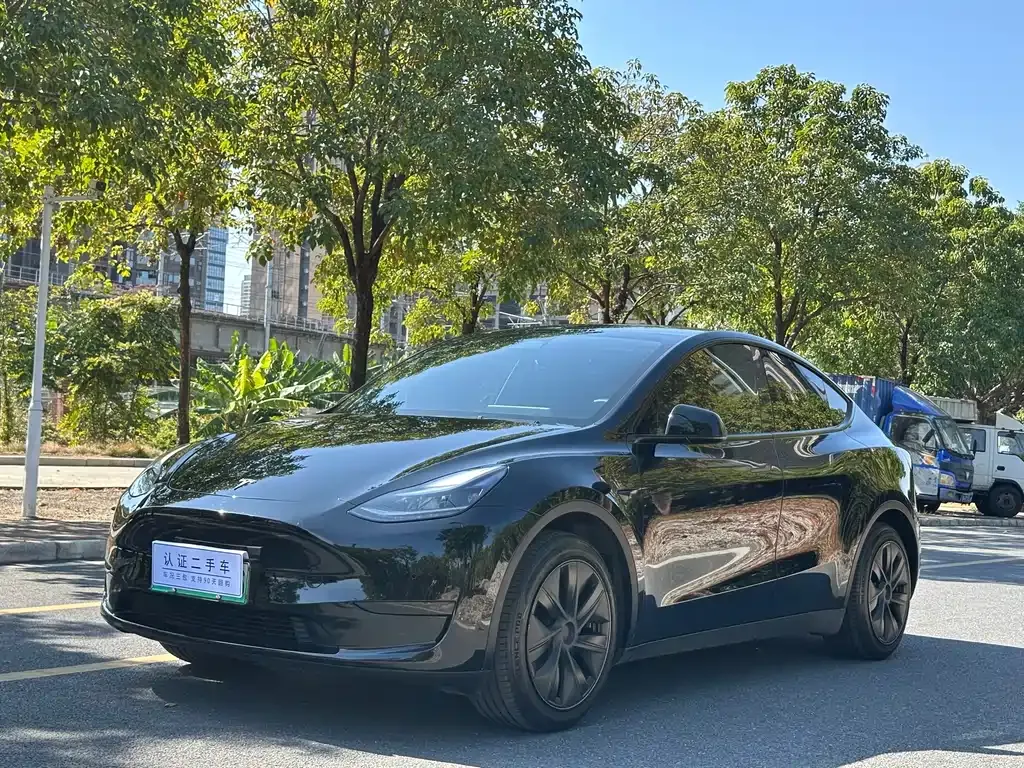 Tesla Model Y — фото 1