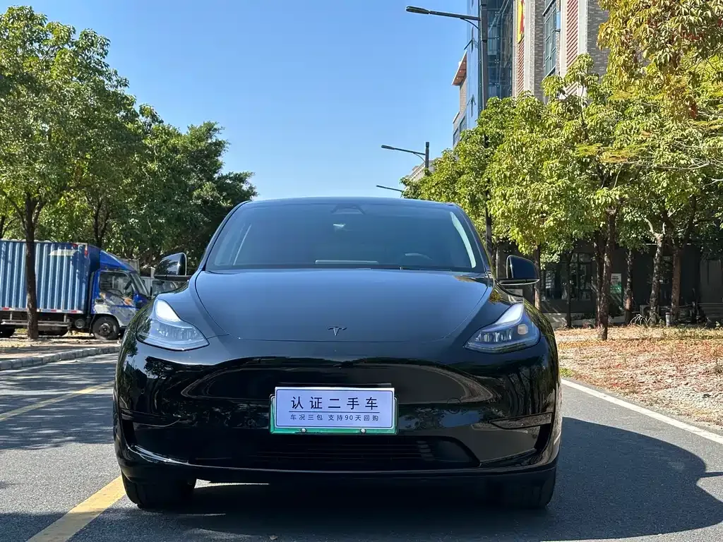 Tesla Model Y — фото 9