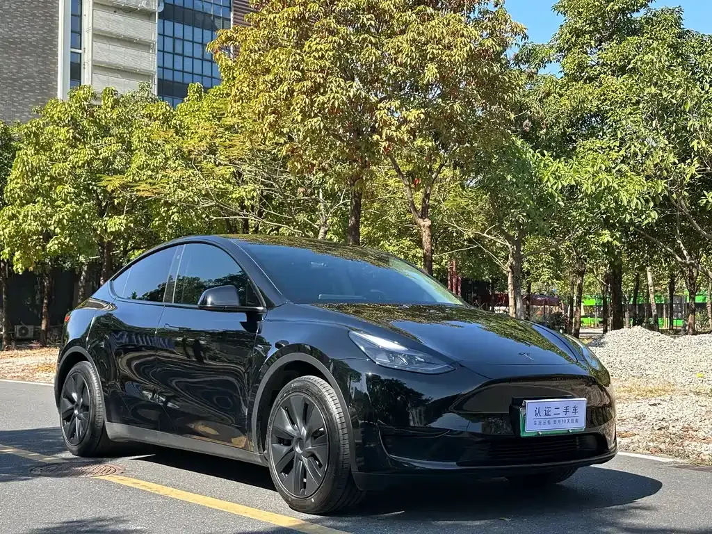 Tesla Model Y — фото 8