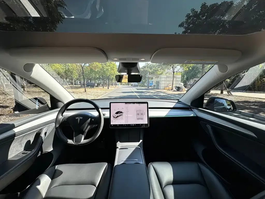 Tesla Model Y — фото 6