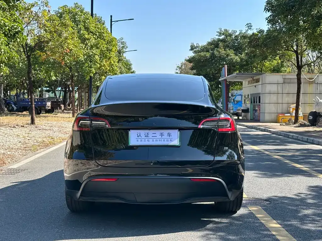 Tesla Model Y — фото 3