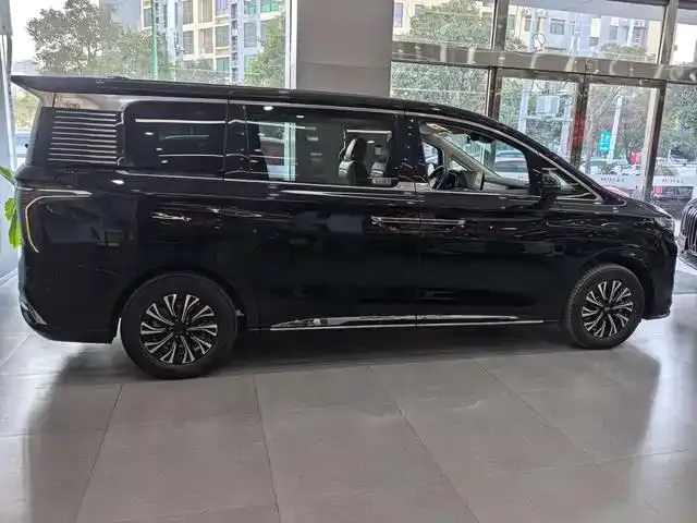 Hongqi HQ9 PHEV 2024 из CN, фото 6
