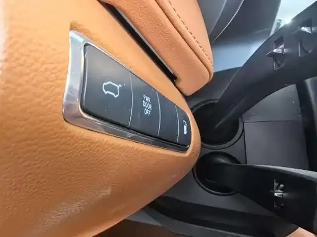 Hongqi HQ9 PHEV 2024 из CN, фото 2