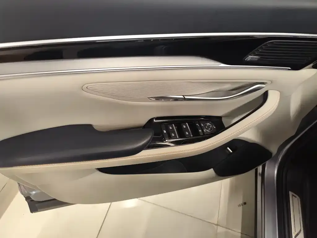 BYD PLUS New Energy — фото 2