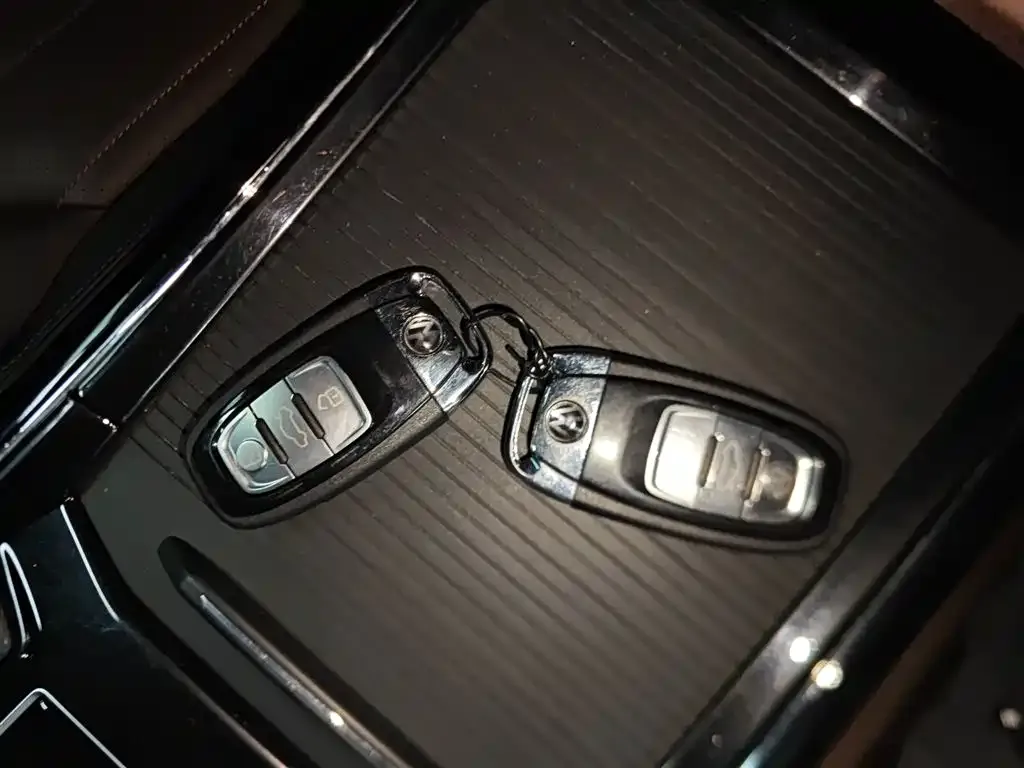 Volkswagen Phideon 2021 из CN, фото 4