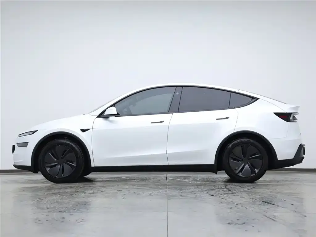 Tesla Model Y 2025 из CN, фото 8