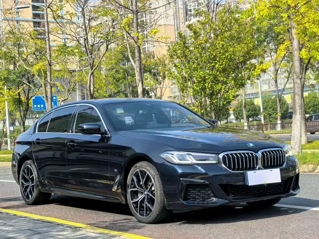 BMW 5 Series 2022 из CN, фото 1
