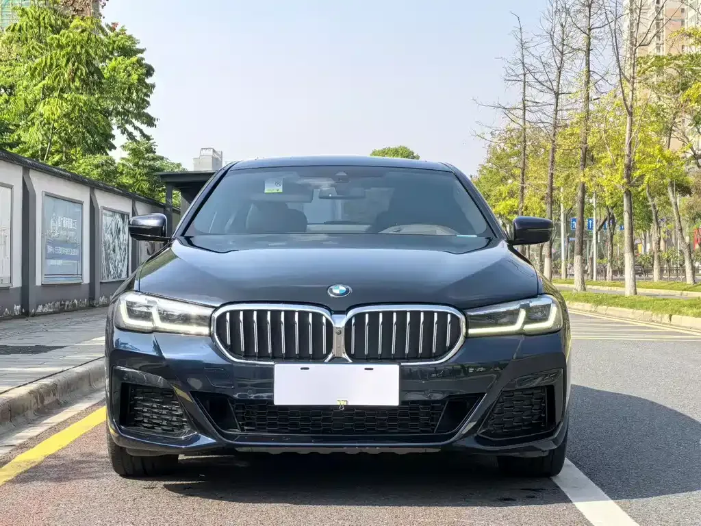 BMW 5 Series 2022 из CN, фото 5