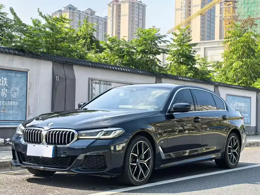 BMW 5 Series 2022 из CN, фото 8
