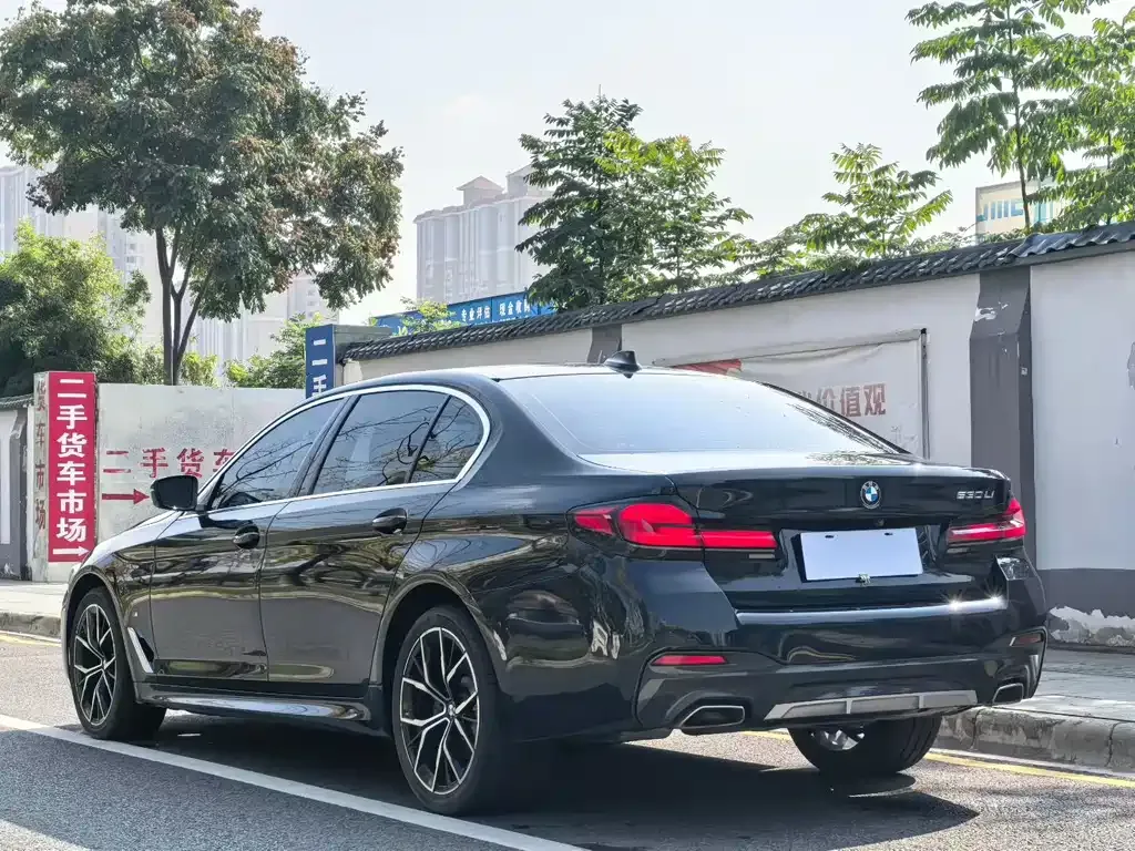 BMW 5 Series 2022 из CN, фото 7