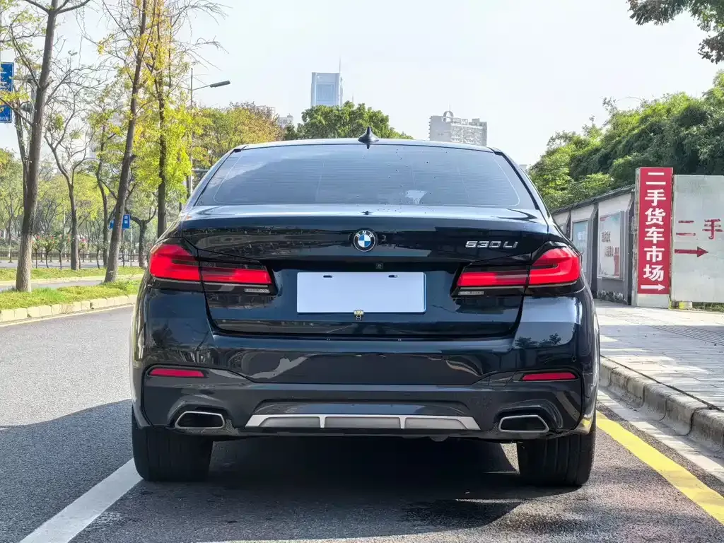 BMW 5 Series 2022 из CN, фото 4