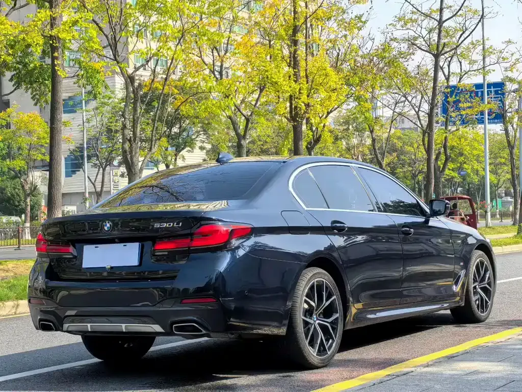 BMW 5 Series 2022 из CN, фото 9