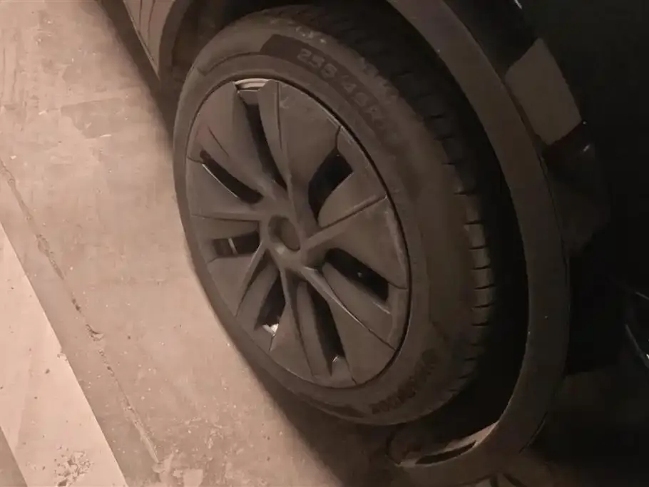 Tesla Model Y 2023 из CN, фото 3