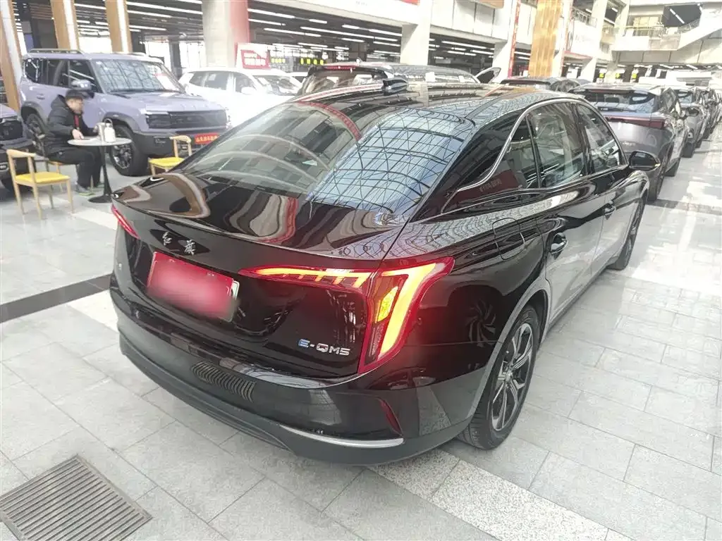 Hongqi E-QM5 2023 из CN, фото 8