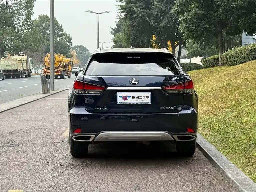 Lexus RX 2022 из CN, фото 9