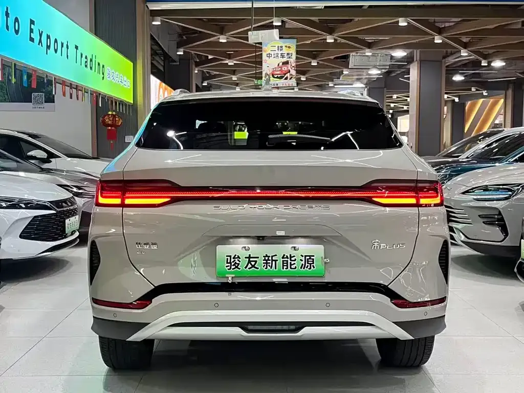 BYD PLUS New Energy 2025 из CN, фото 7