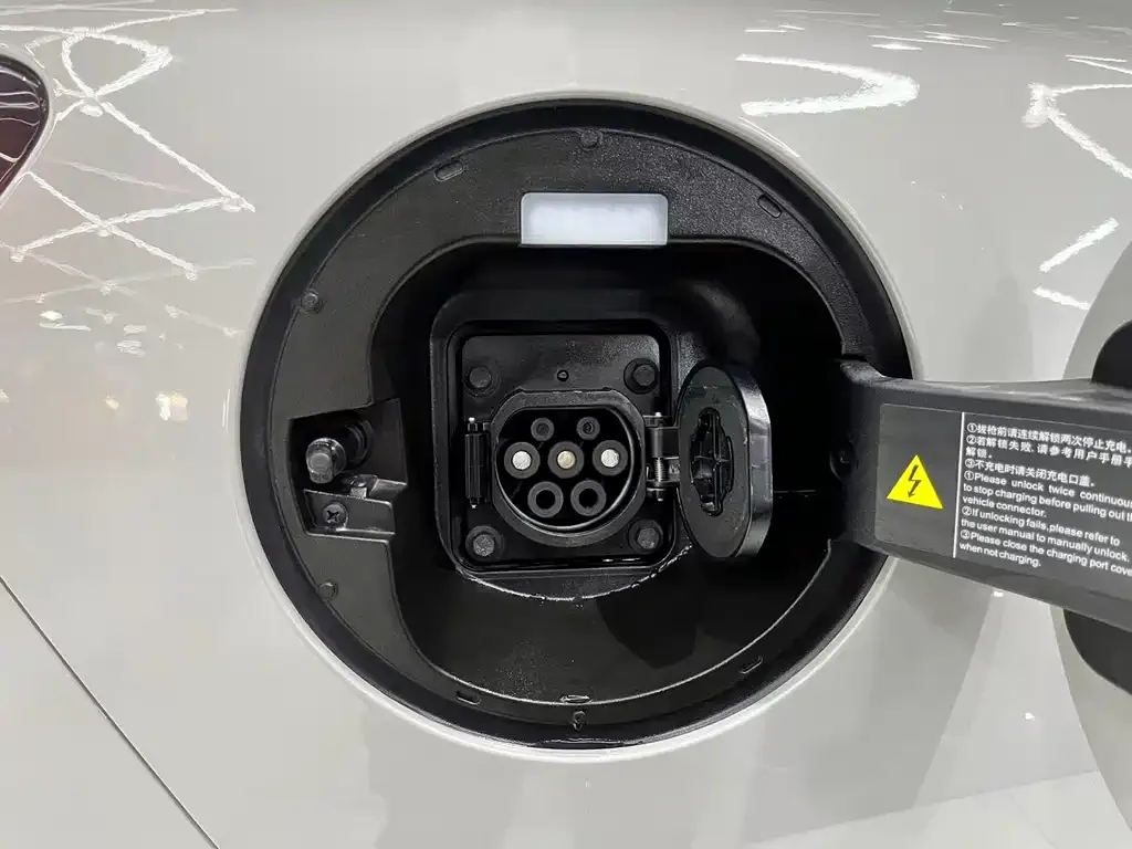 BYD PLUS New Energy 2025 из CN, фото 3