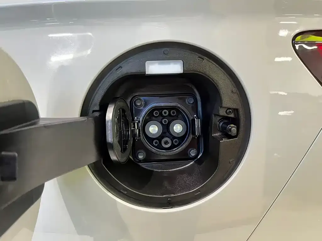 BYD PLUS New Energy 2025 из CN, фото 5