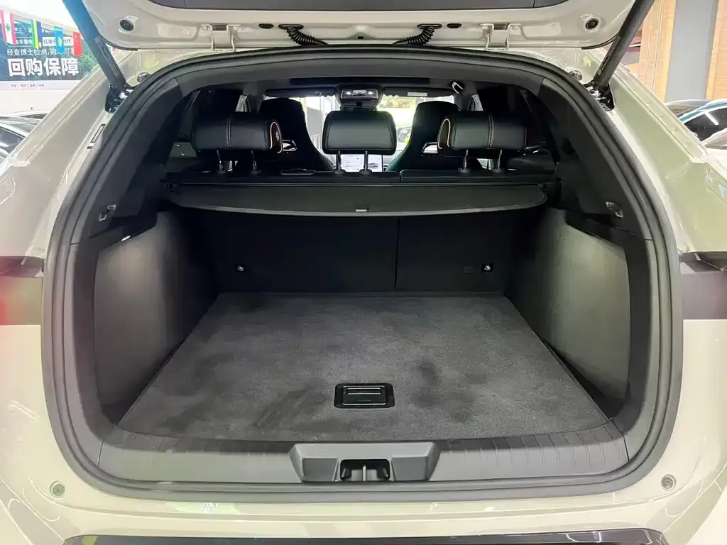 BYD PLUS New Energy 2025 из CN, фото 4