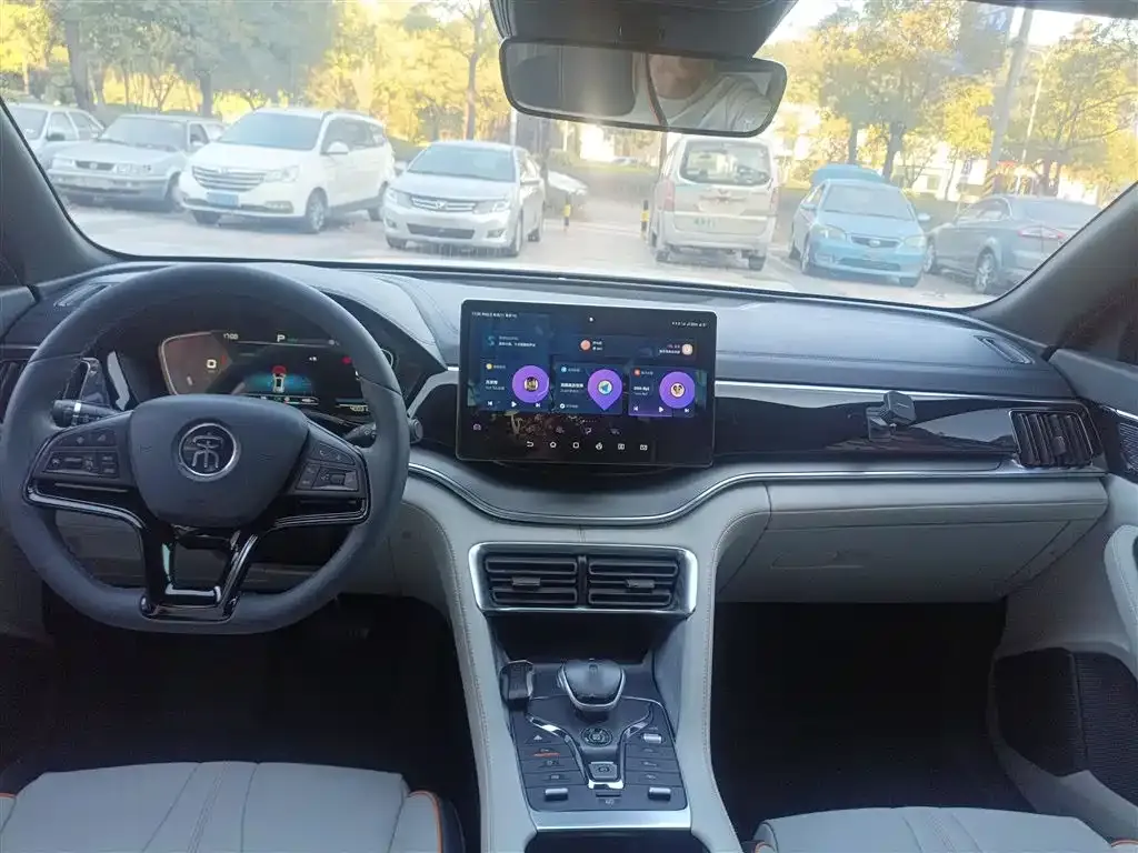 BYD PLUS New Energy 2021 из CN, фото 10