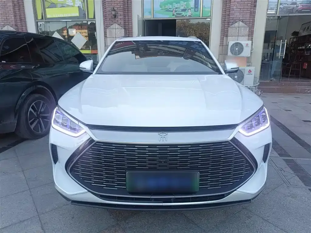 BYD PLUS New Energy 2021 из CN, фото 3