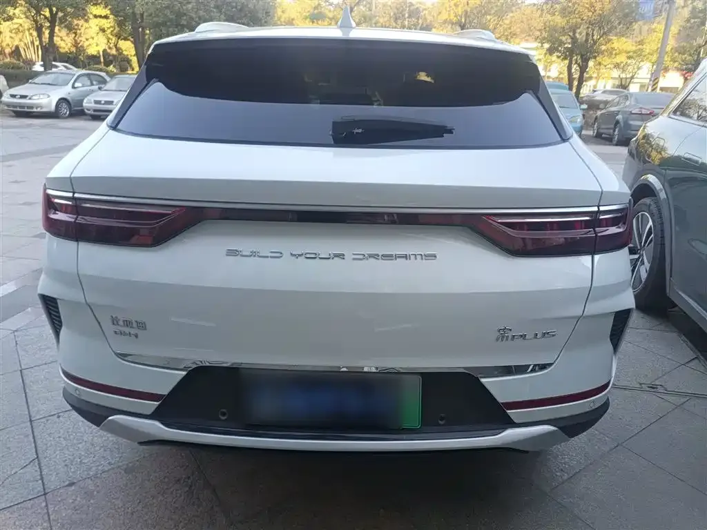 BYD PLUS New Energy 2021 из CN, фото 8