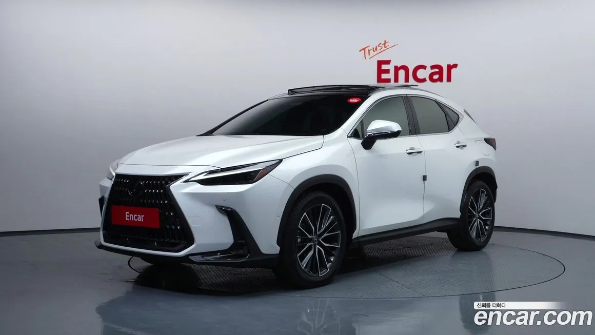 Lexus NX 2025 из KR, фото 1