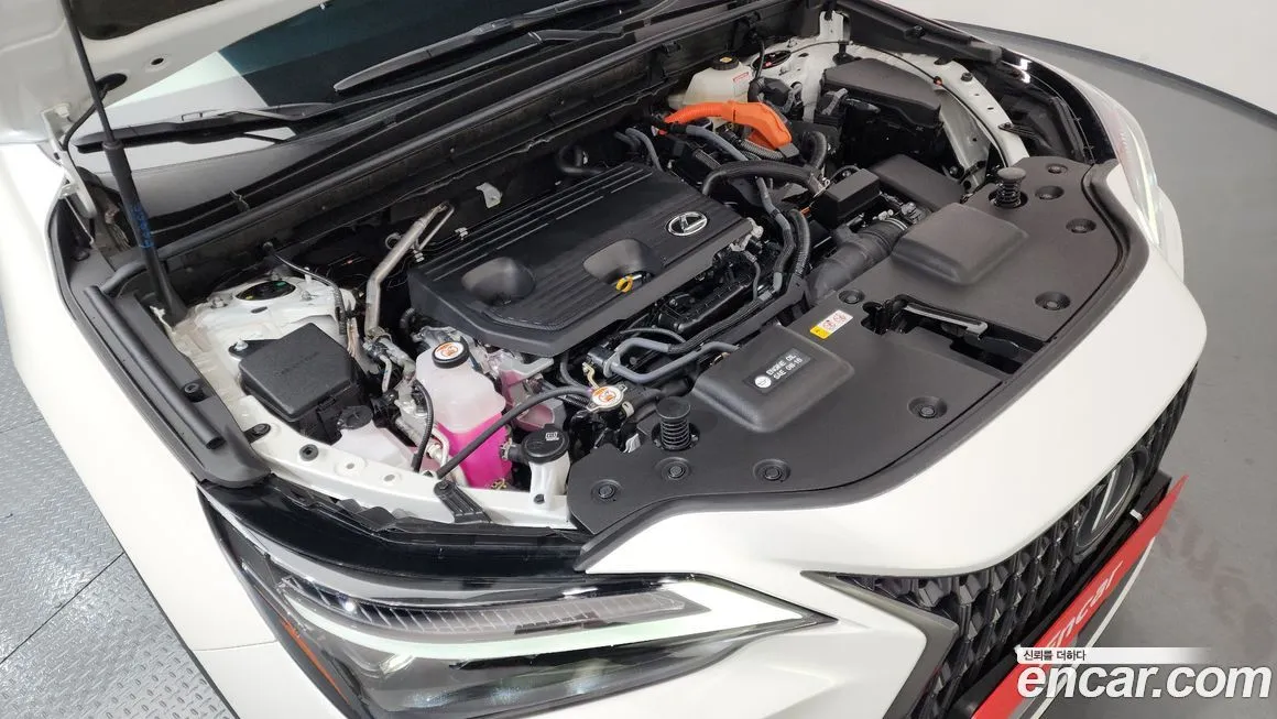 Lexus NX 2025 из KR, фото 6