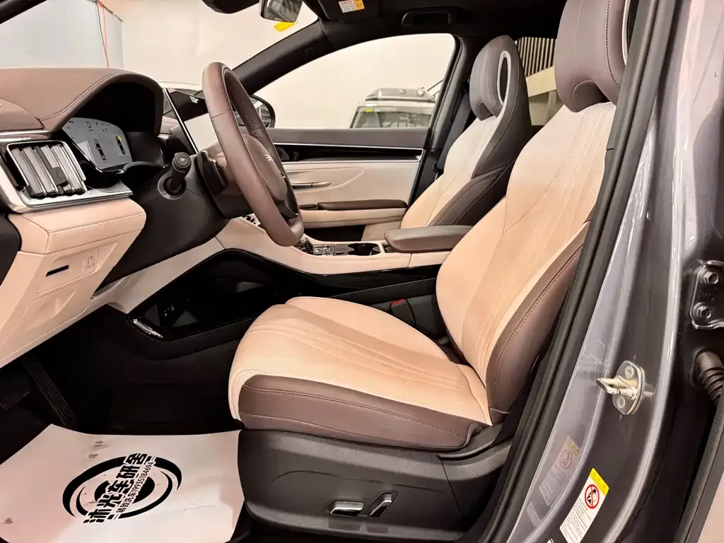 BYD PLUS New Energy 2025 из CN, фото 5