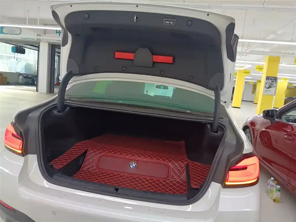 BMW 5 Series New Energy 2021 из CN, фото 9