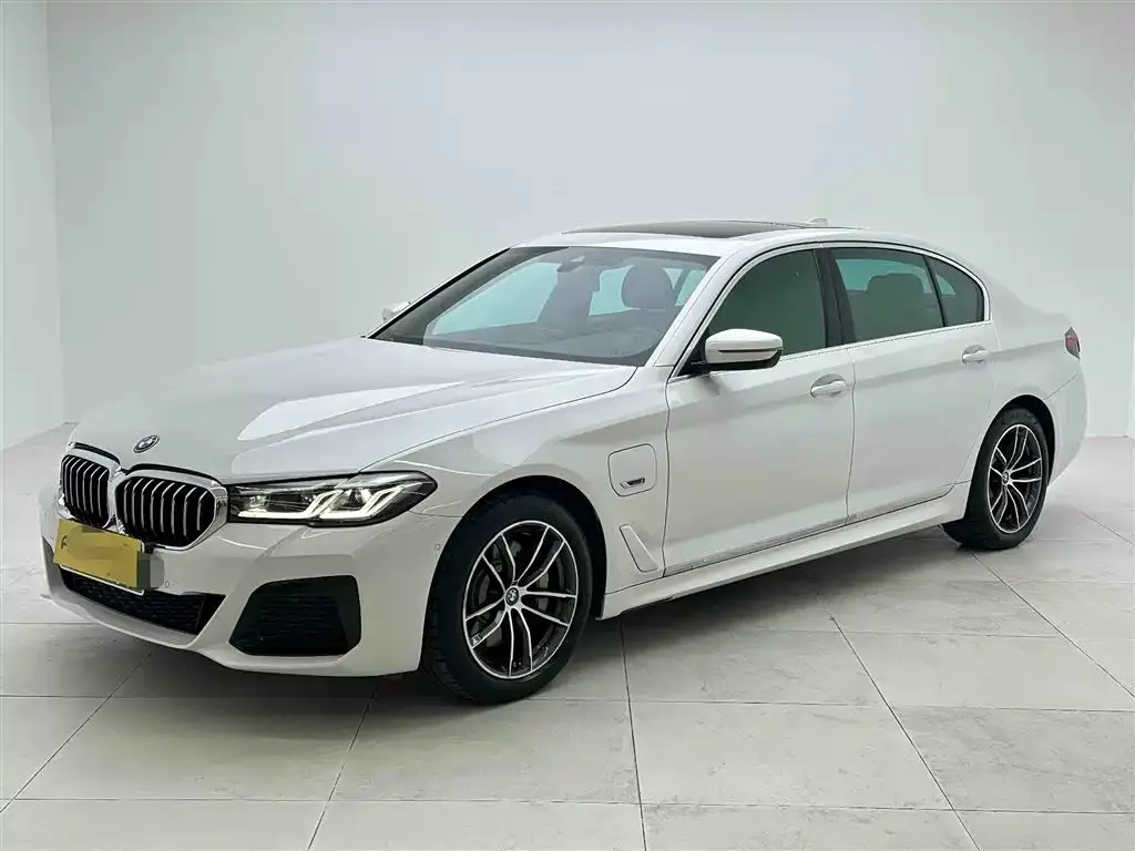 BMW 5 Series New Energy 2021 из CN, фото 2