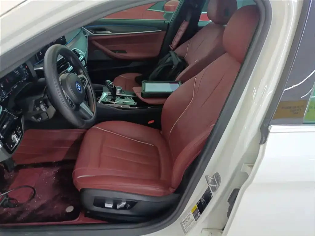 BMW 5 Series New Energy 2021 из CN, фото 10