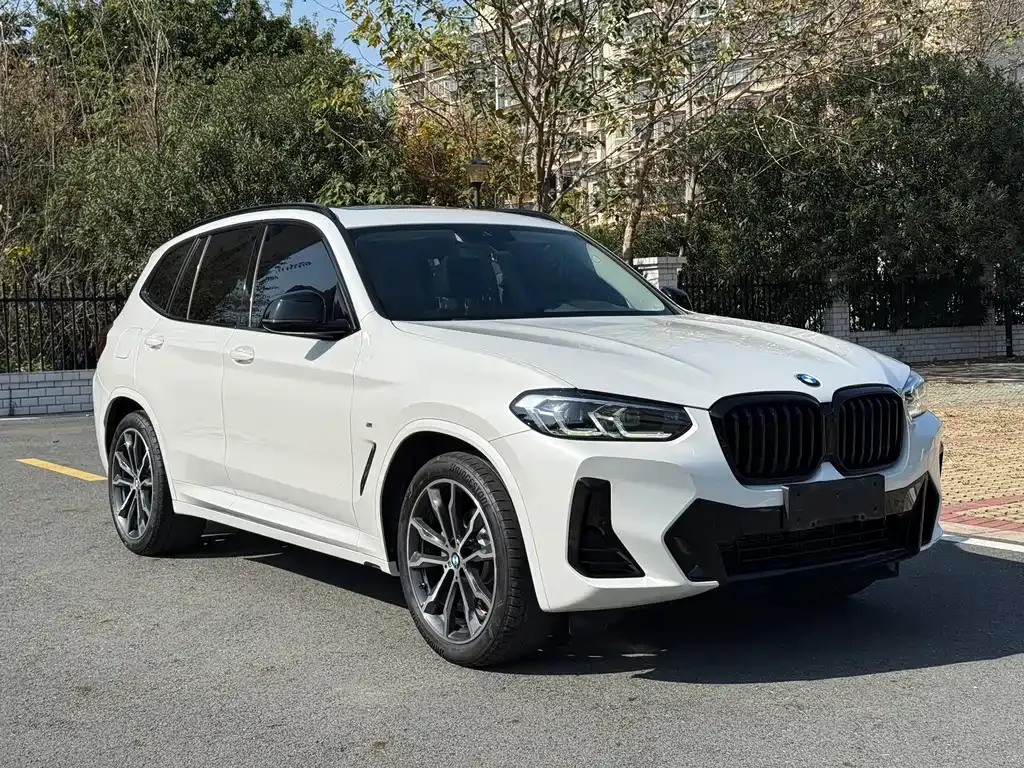 BMW X3 2021 из CN, фото 7