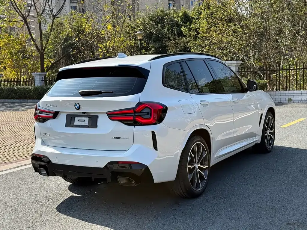 BMW X3 2021 из CN, фото 9