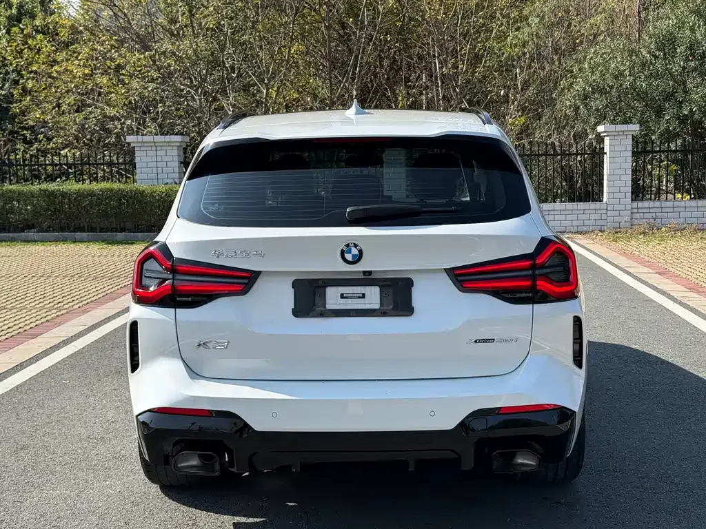 BMW X3 2021 из CN, фото 4