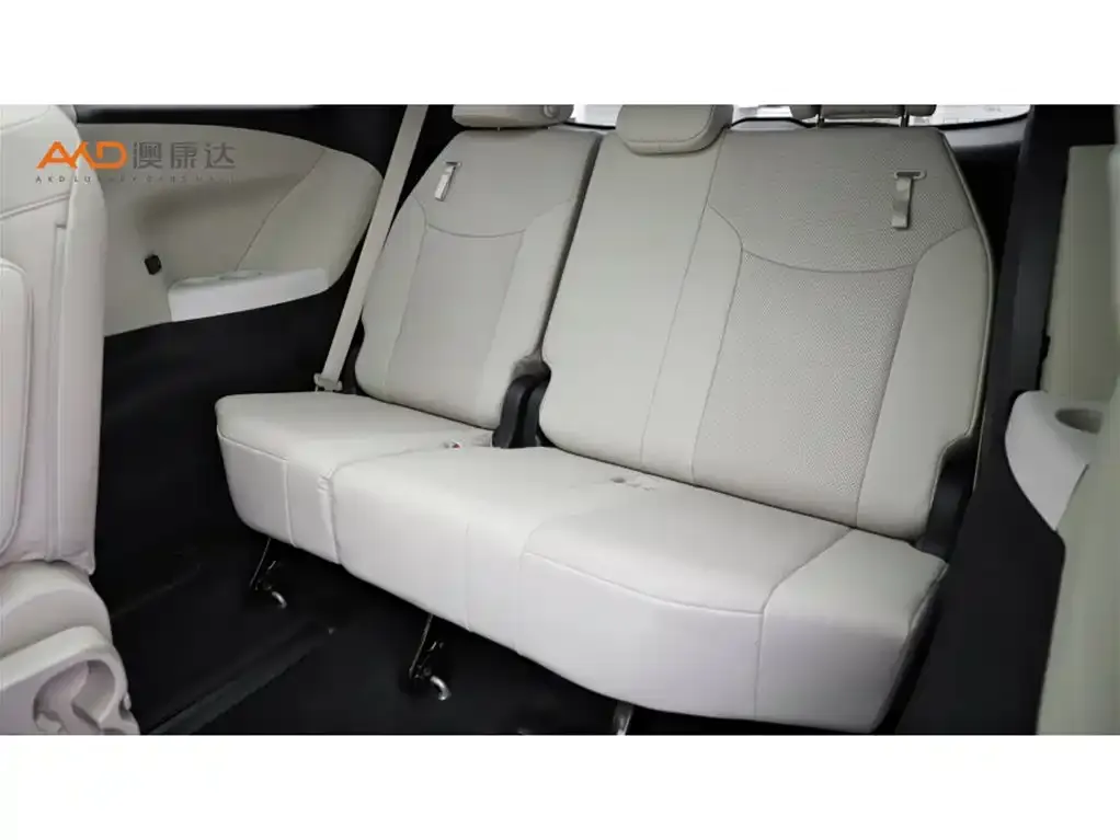 Toyota Sienna 2022 из CN, фото 4