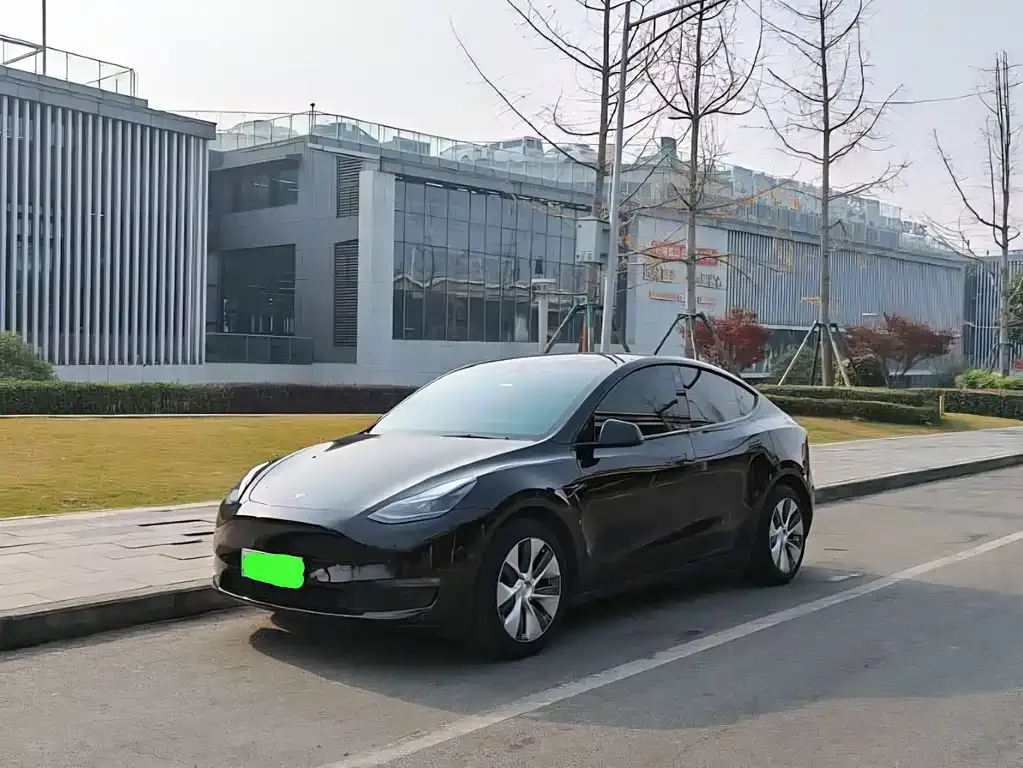 Tesla Model Y 2021 из CN, фото 1