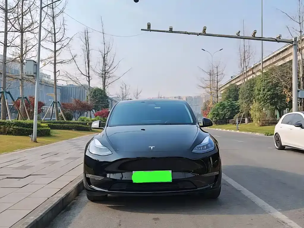 Tesla Model Y 2021 из CN, фото 5