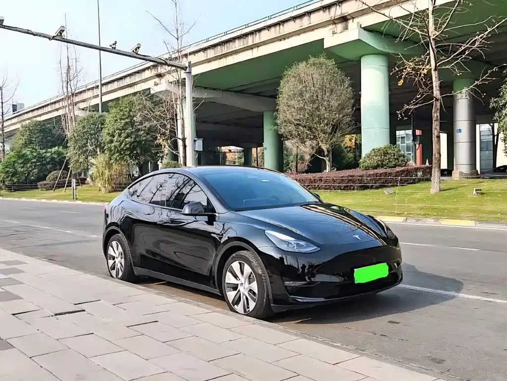 Tesla Model Y 2021 из CN, фото 9