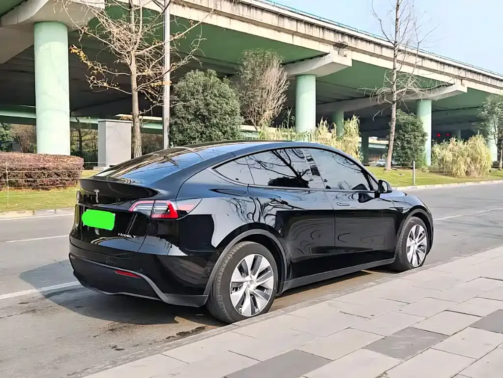 Tesla Model Y 2021 из CN, фото 8