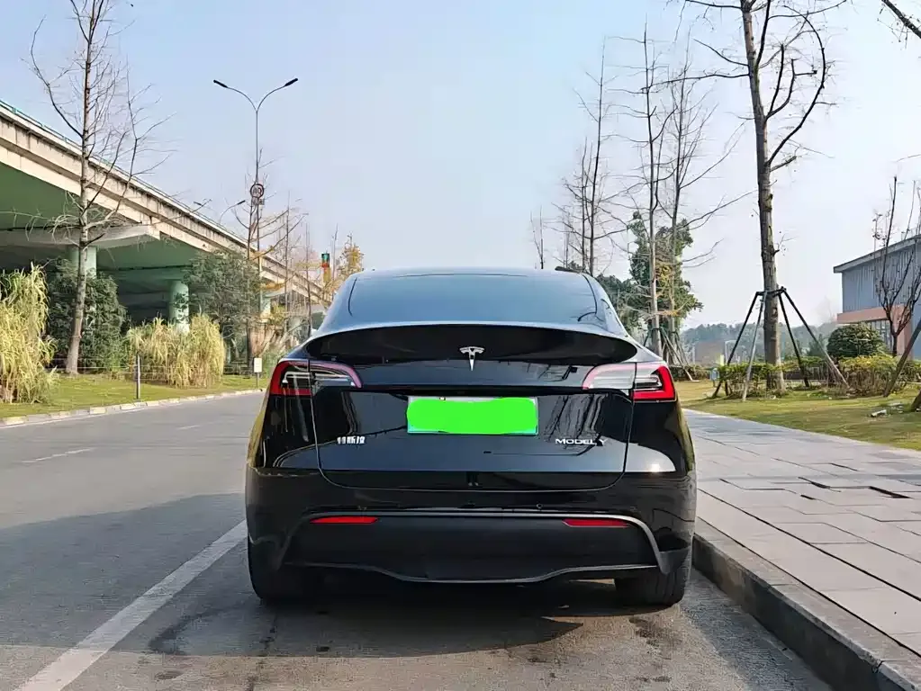 Tesla Model Y 2021 из CN, фото 6