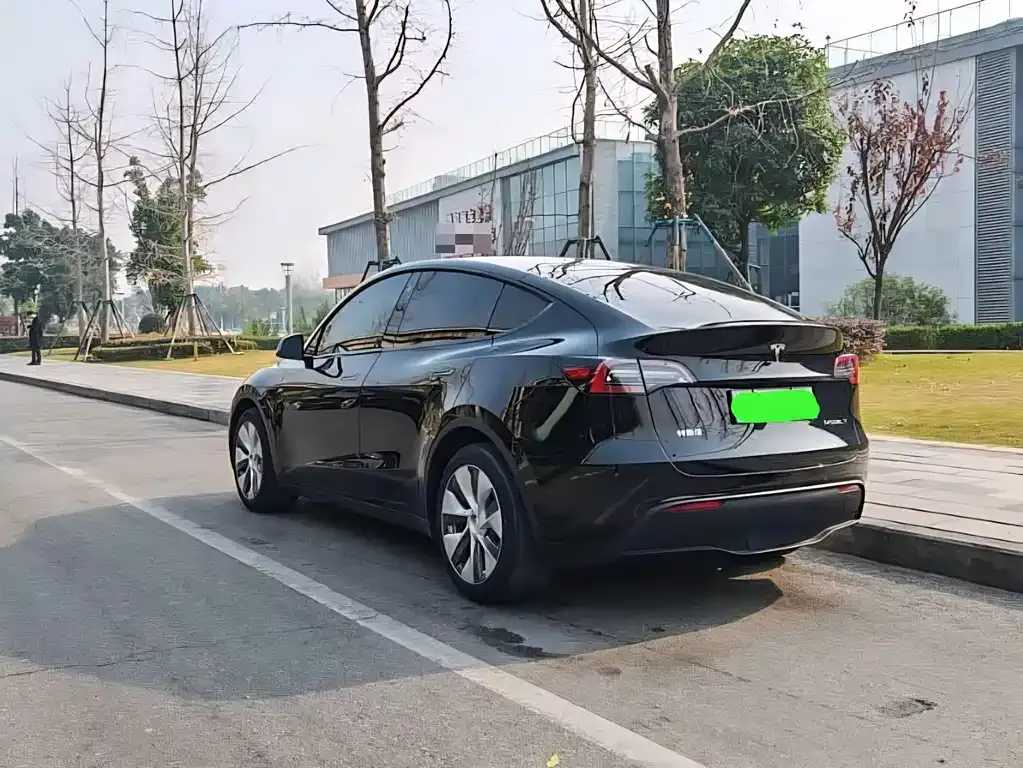 Tesla Model Y 2021 из CN, фото 7