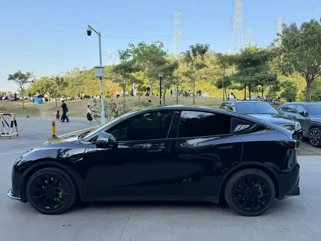 Tesla Model Y — фото 6