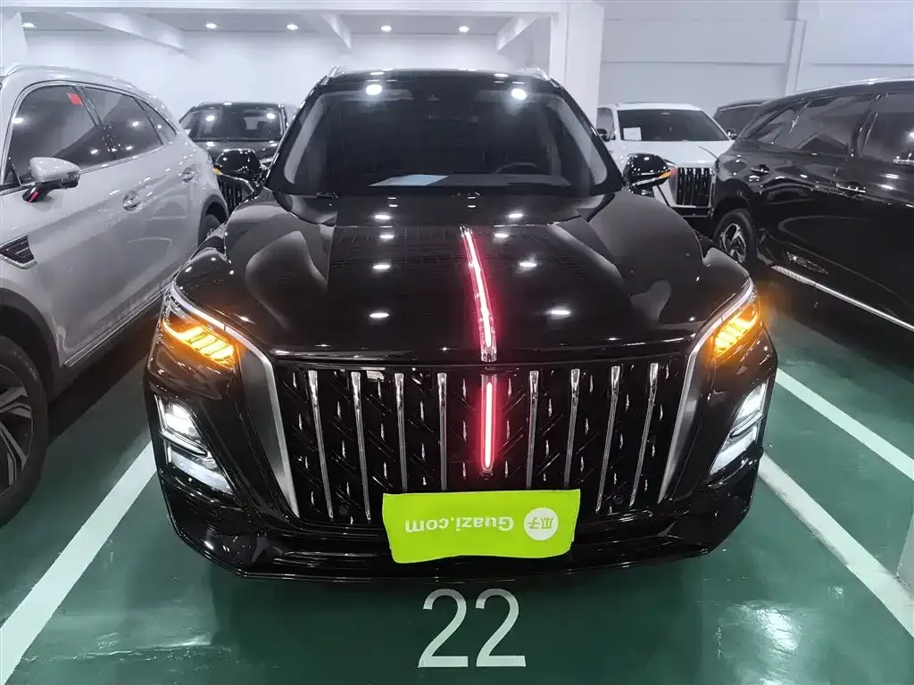 Hongqi HS5 2023 из CN, фото 8