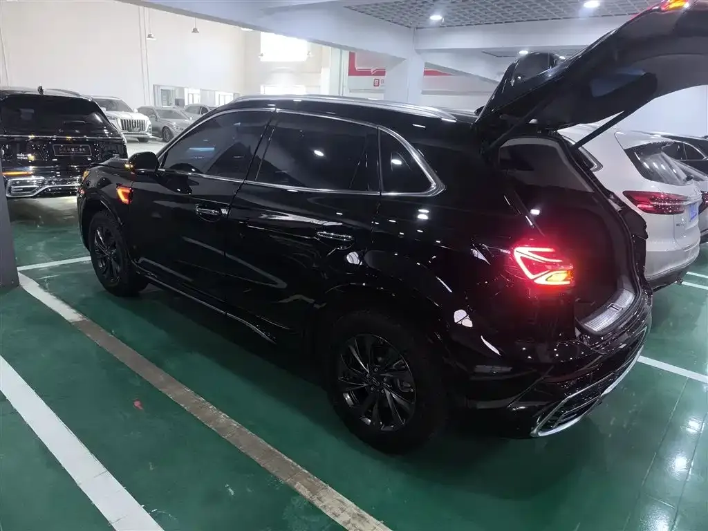 Hongqi HS5 2023 из CN, фото 10