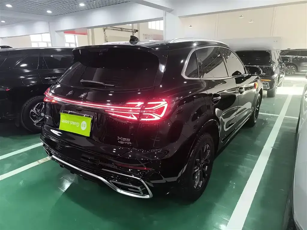 Hongqi HS5 2023 из CN, фото 7
