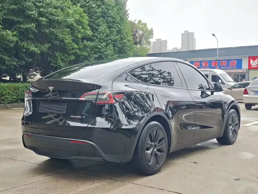 Tesla Model Y — фото 6